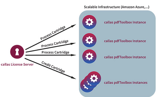 callas License Server Configuration - Picture