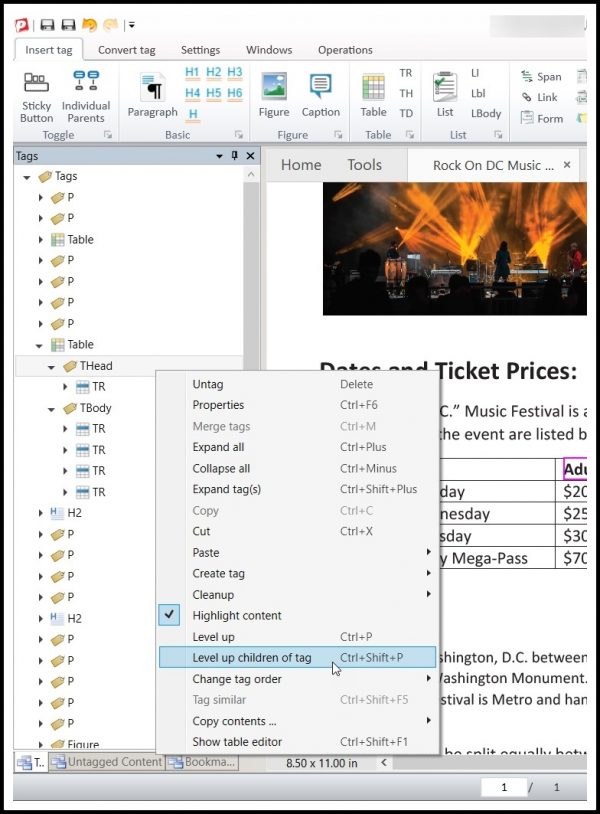 NetCentric Technologies - CommonLook PDF - Workflow - Remediation Tables - Tables Level Up - Picture