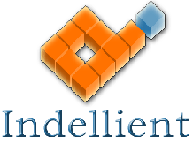 Indellient ACI Orange - Logo