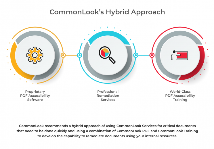 NetCentric Technologies, CommonLook - Den hybrida lösningen - Programvara och utbildning, eller som tjänst, eller både och - Bild